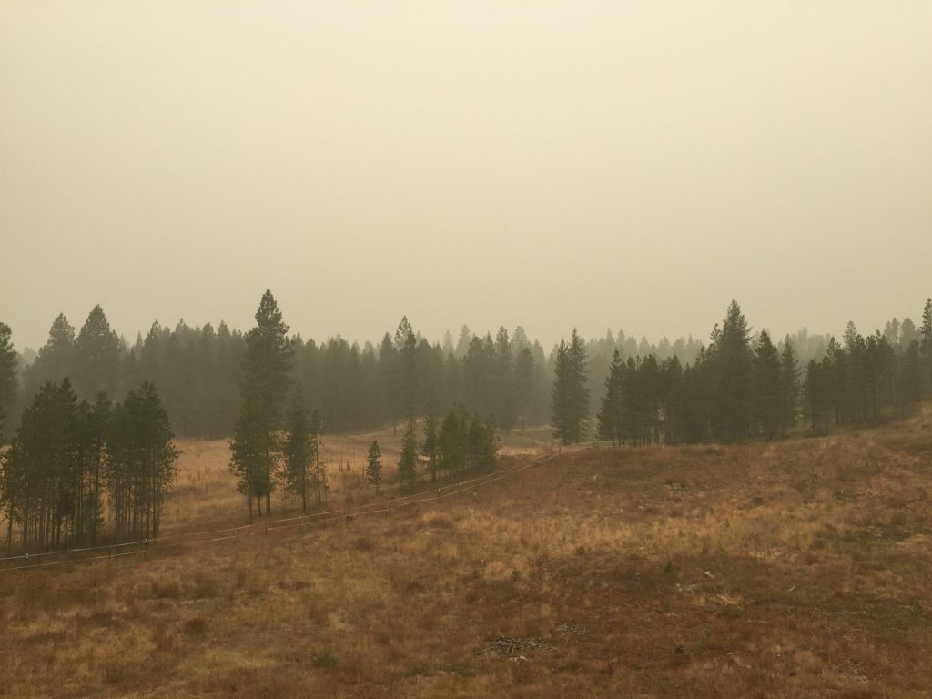 Smokey summer day in Northern Idaho