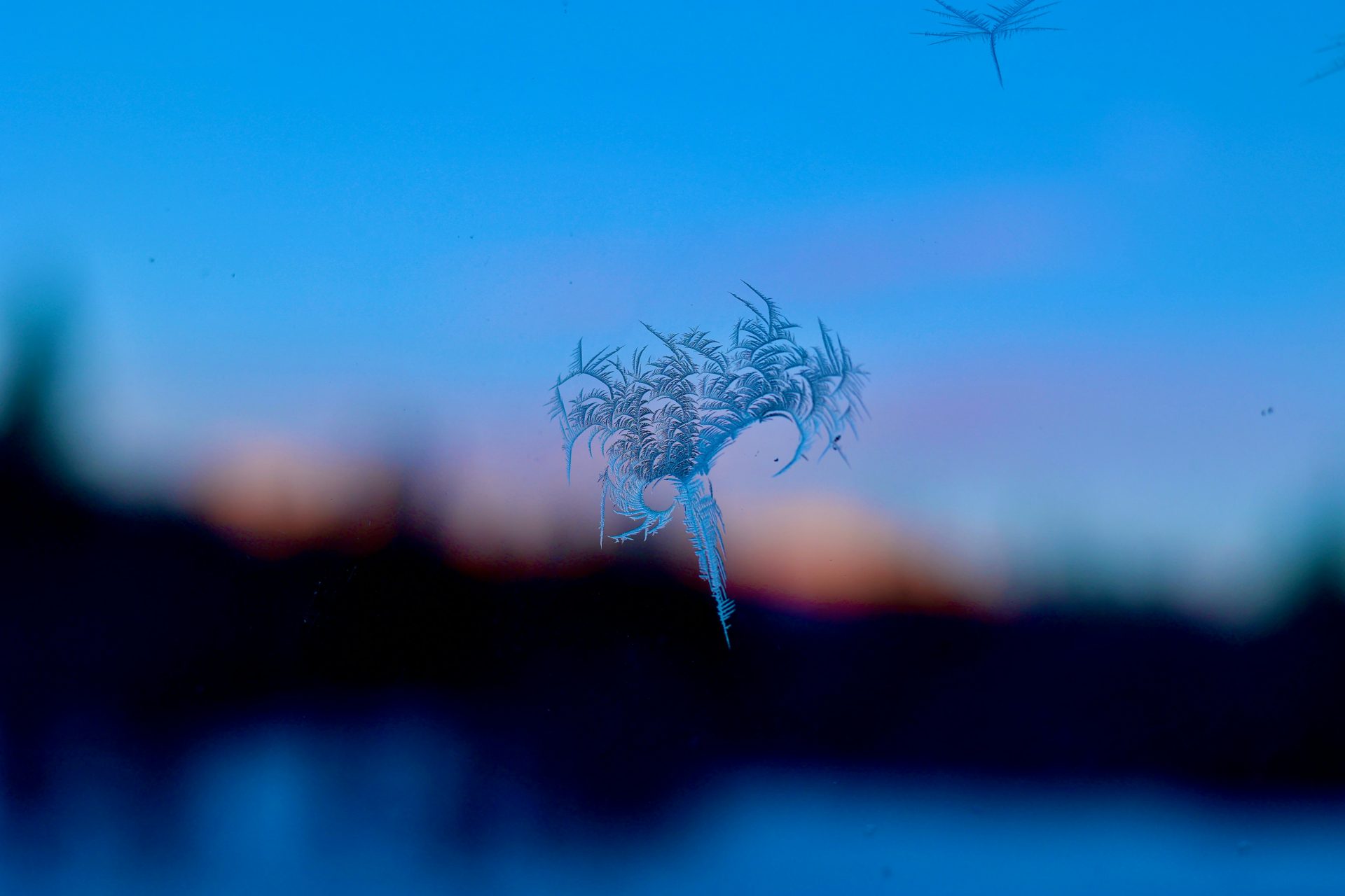 Winter Events in North Idaho