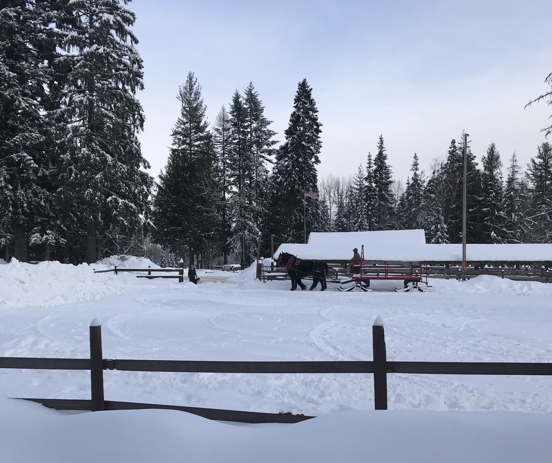 One Perfect Winter Day in Sandpoint
