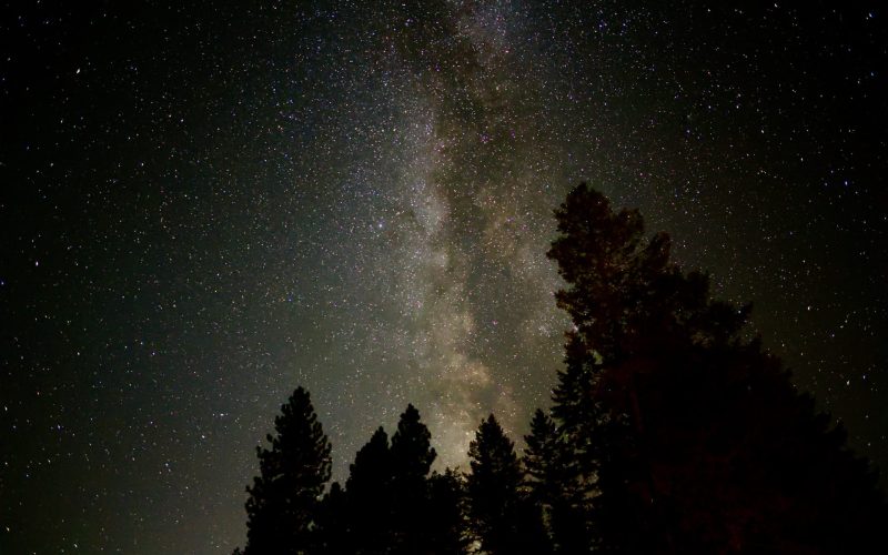 North Idaho night sky over the forest